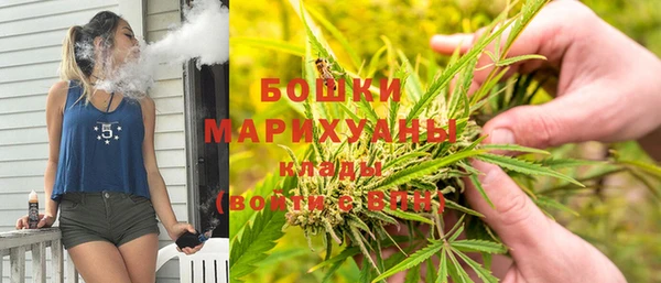 СК Аркадак